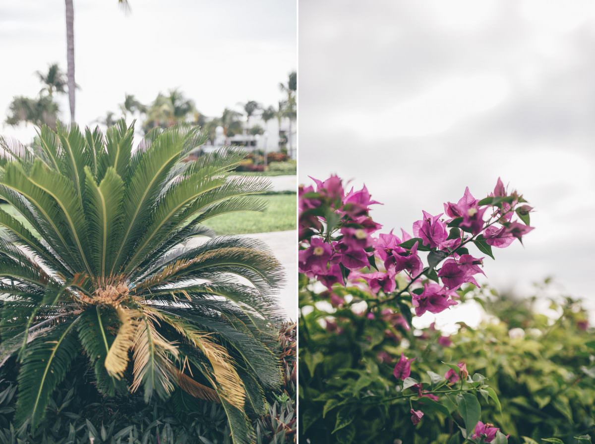 desitnation_wedding_photographer_cancun_mexico_alanna_chris_foliage_ 1