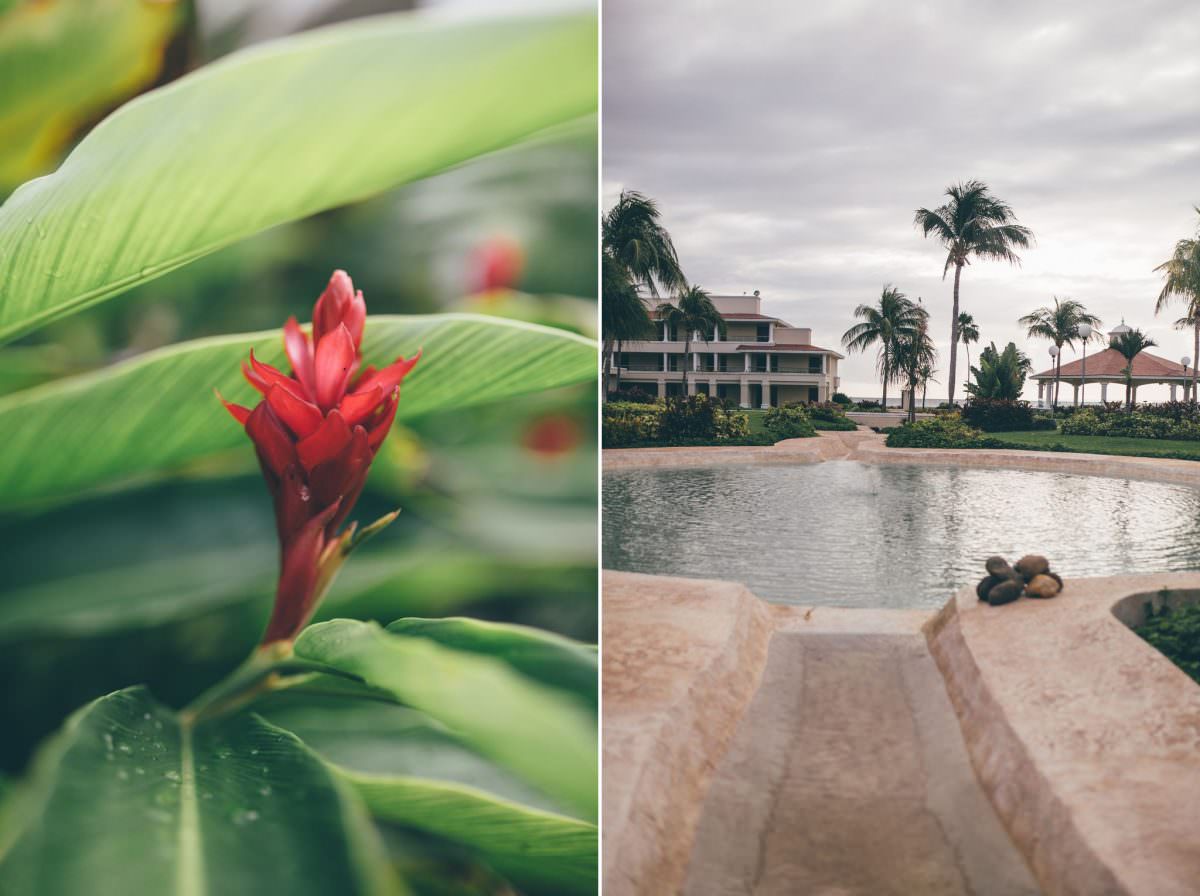 desitnation_wedding_photographer_cancun_mexico_alanna_chris_foliage_ 2