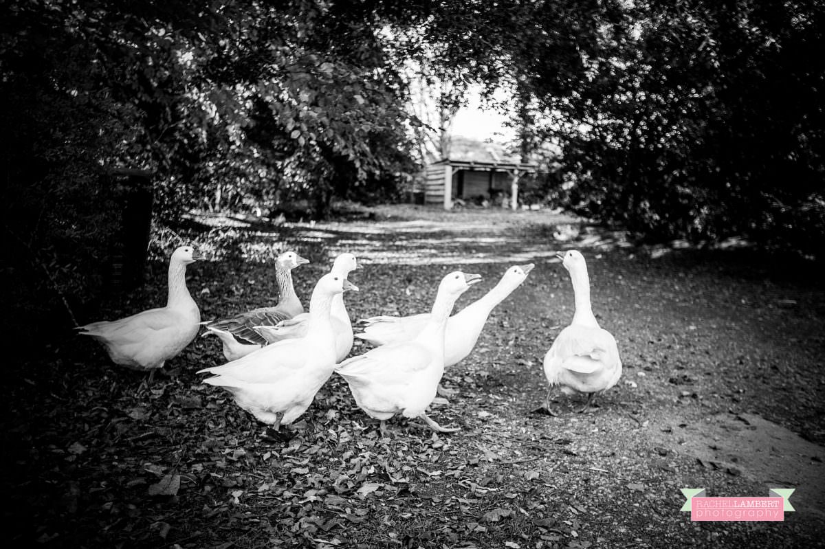 maunsel_house_bridgewater_somerset_wedding_photographer_rachel_lambert_photography_emma_mark_ 10