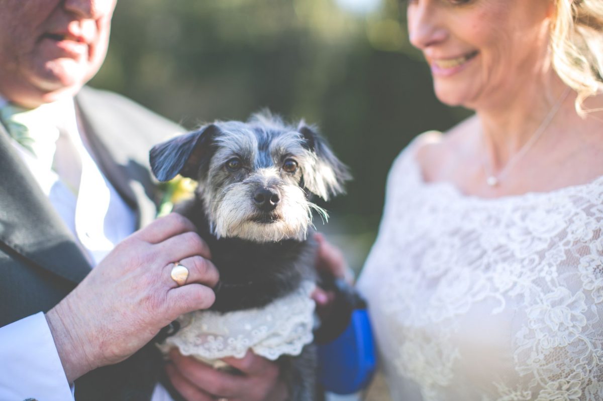 welsh_cardiff_destination_wedding_photographer_italy_greece_mexico_rachel_lambert_photography_a 2