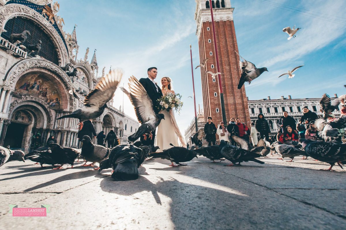 bride and groom pigeons campanile tower st marks square Venice italy