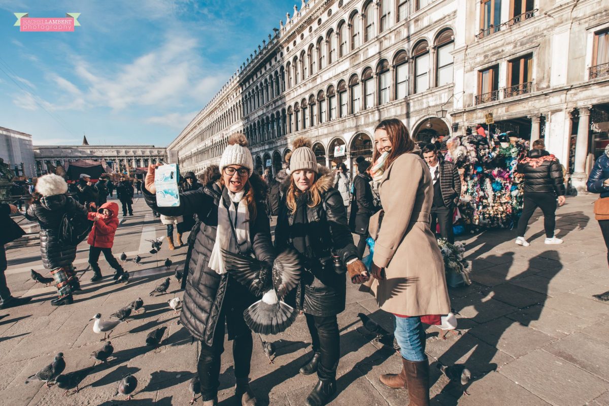 piazza san marco pigeons