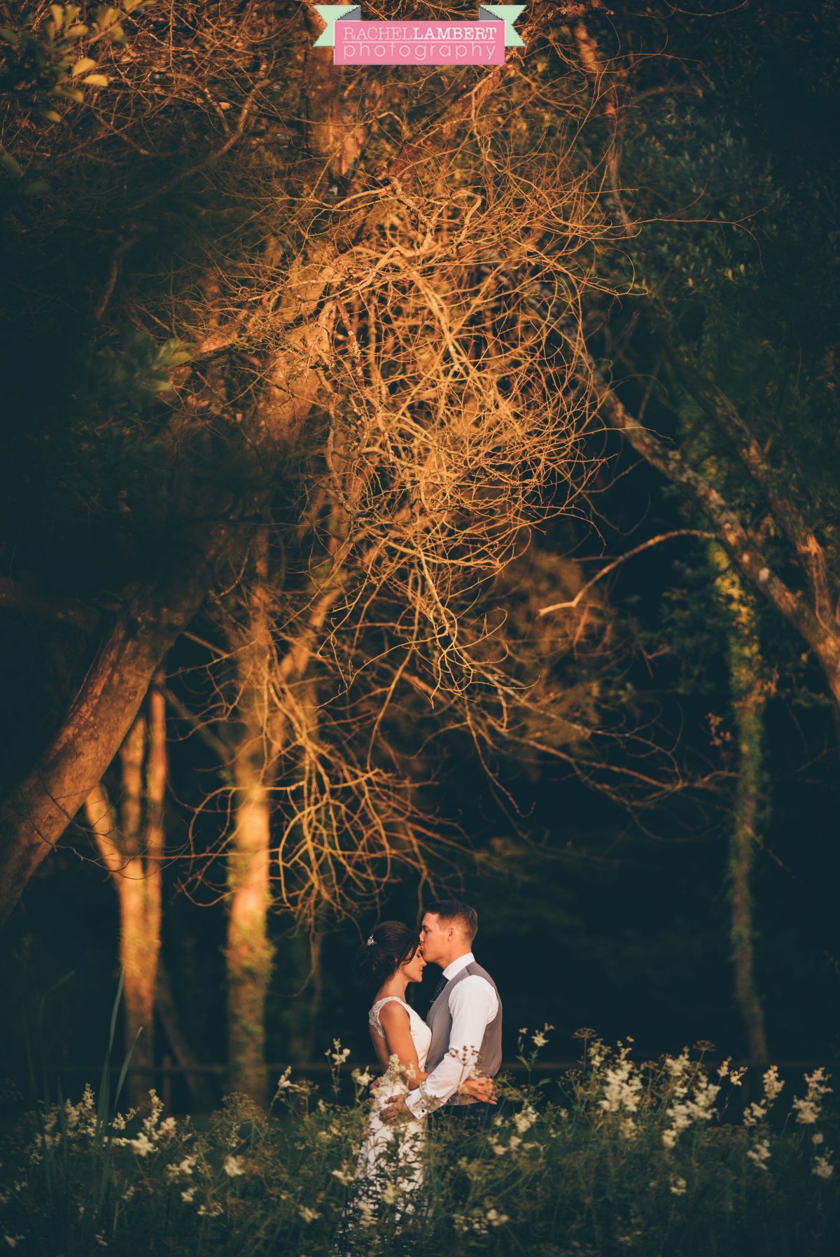 Rachel Lambert Photography llanerch vineyard wedding photographer bride and groom golden hour couple shots