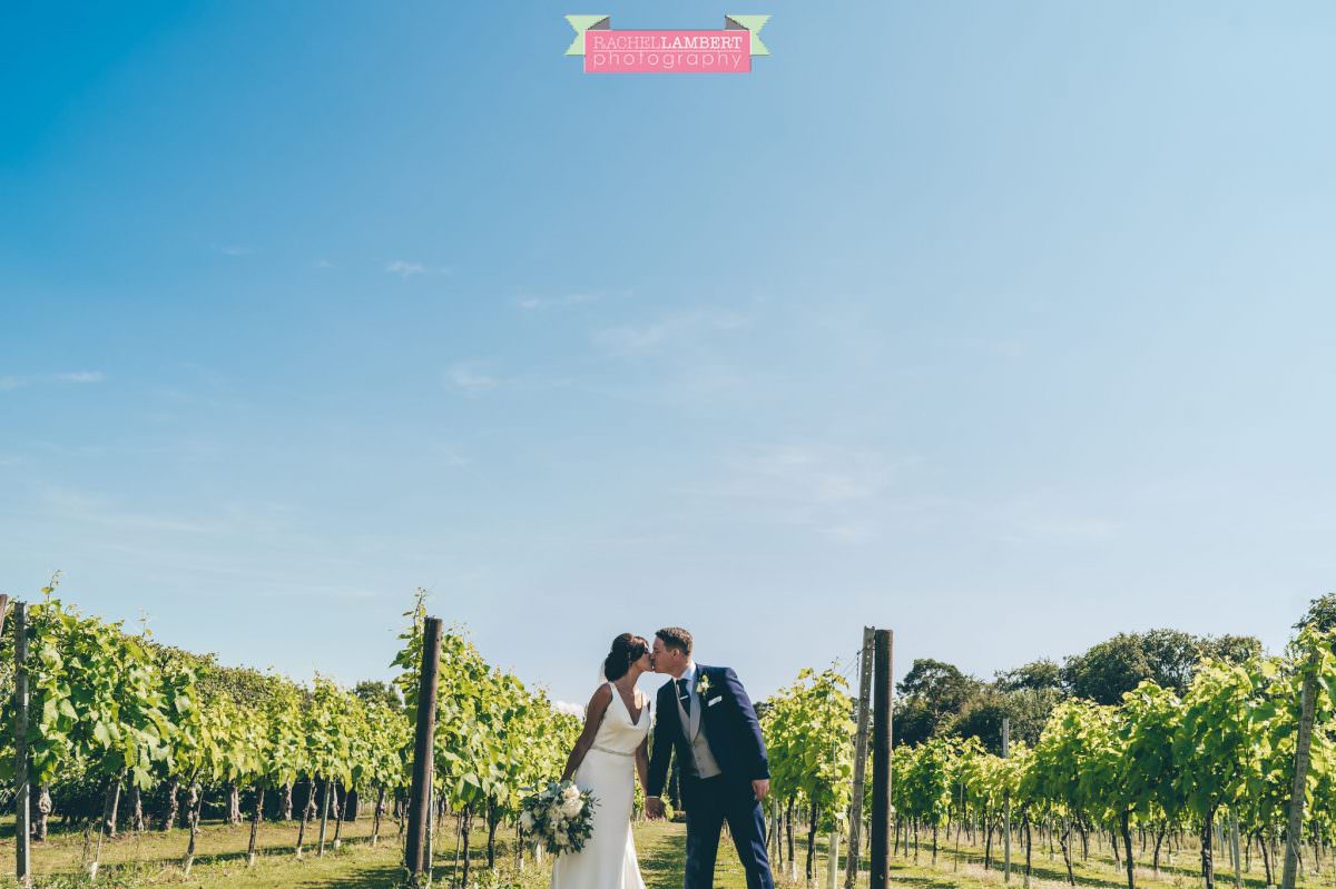 Rachel Lambert Photography llanerch vineyard wedding photographer bride and groom couple shots in the vines