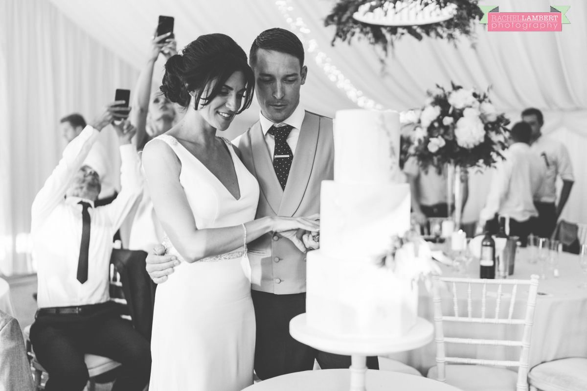 Rachel Lambert Photography llanerch vineyard wedding photographer bride and groom cutting the cake