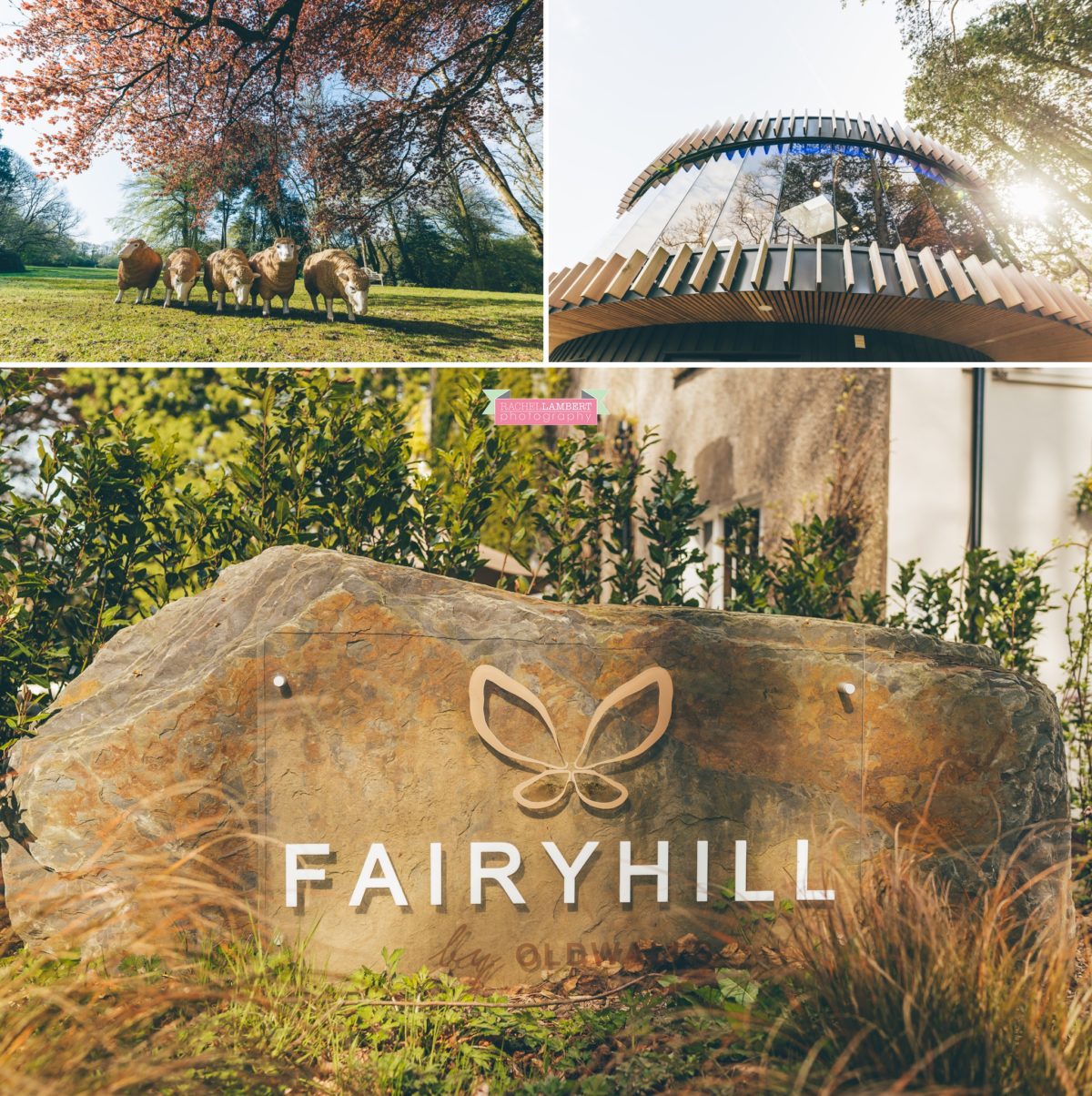 fairyhill cardiff wedding photographer rachel lambert photography
