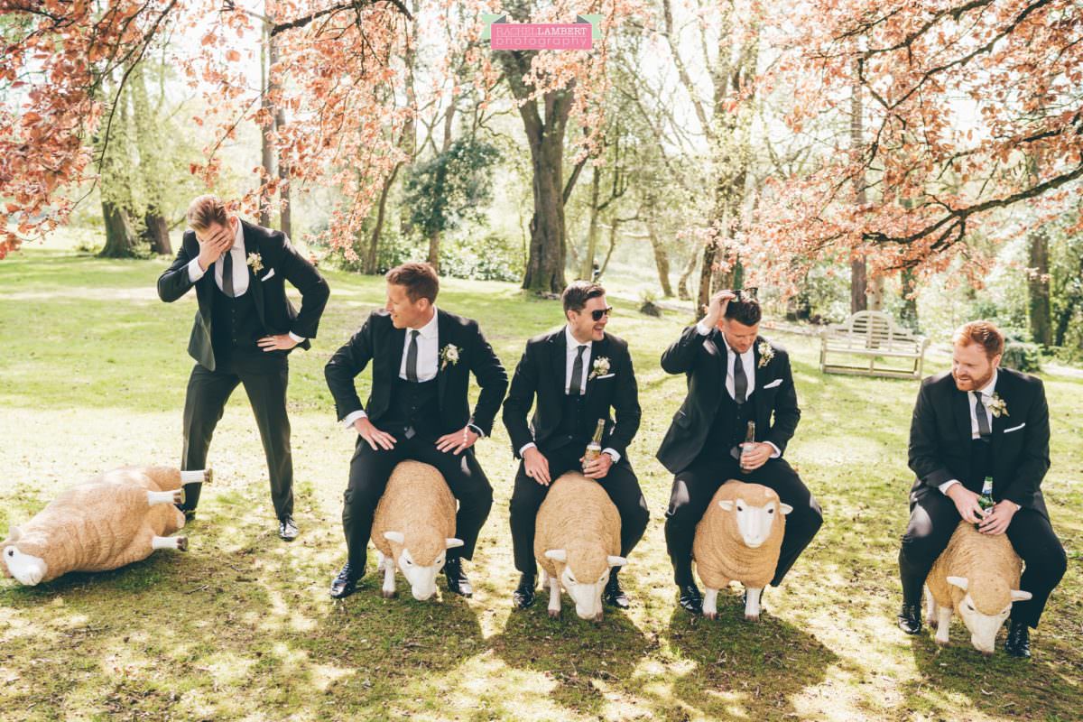 fairyhill gower rachel lambert photography cardiff wedding photographer