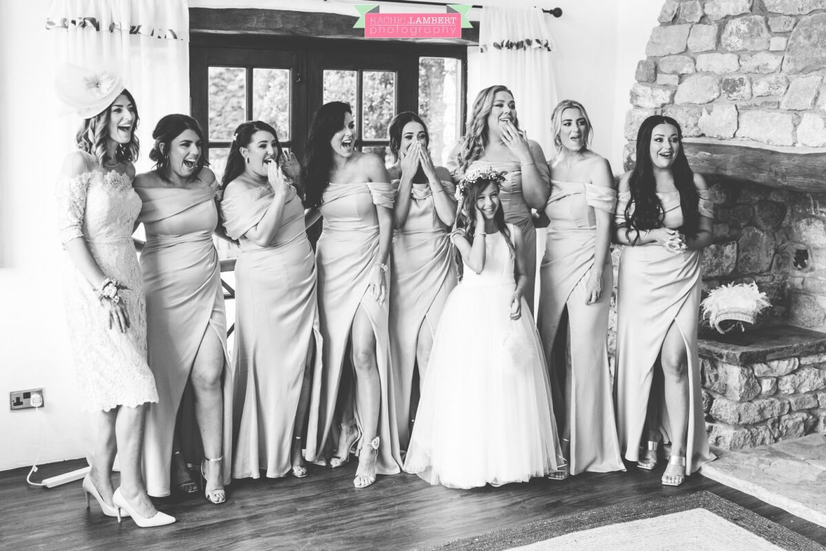 Fairyhill Gower Wedding Photographer