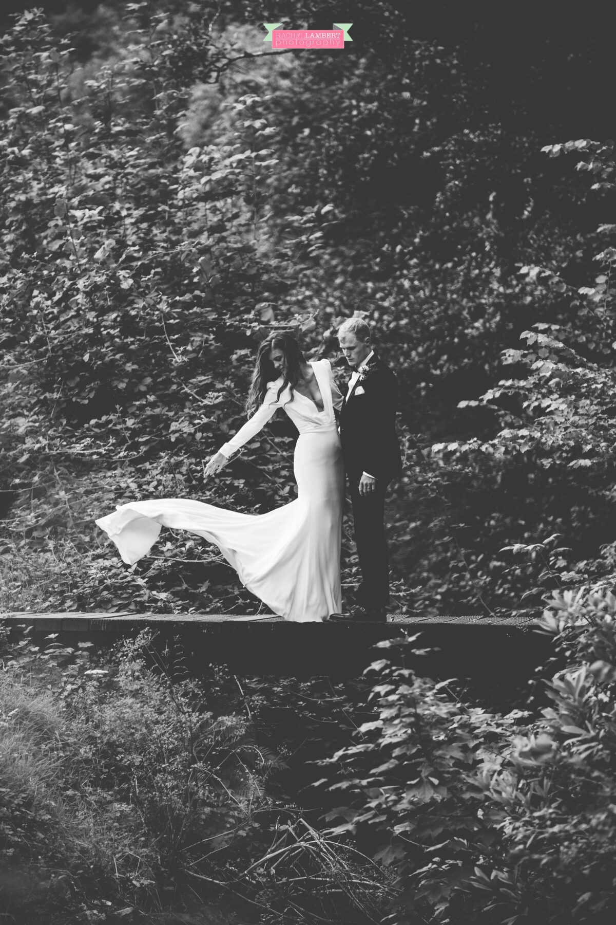 Fairyhill Gower Wedding Photographer Pronovias Bride