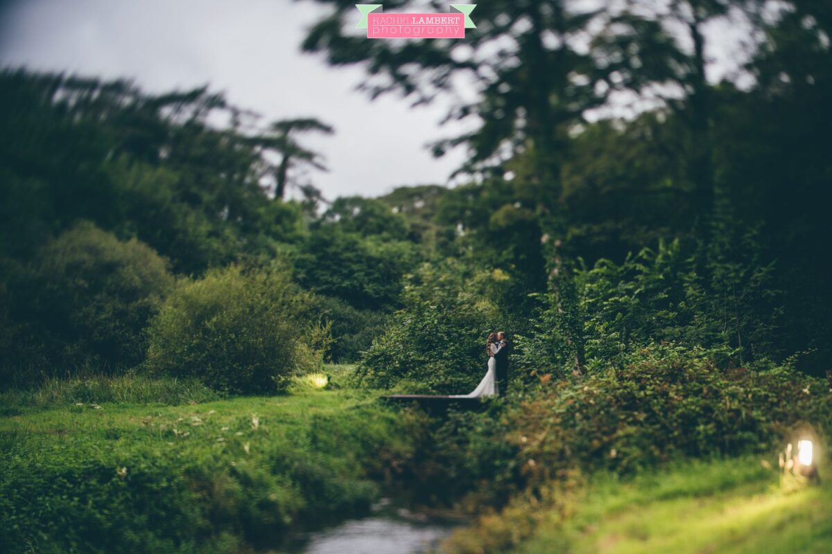 Fairyhill Gower Wedding Photographer