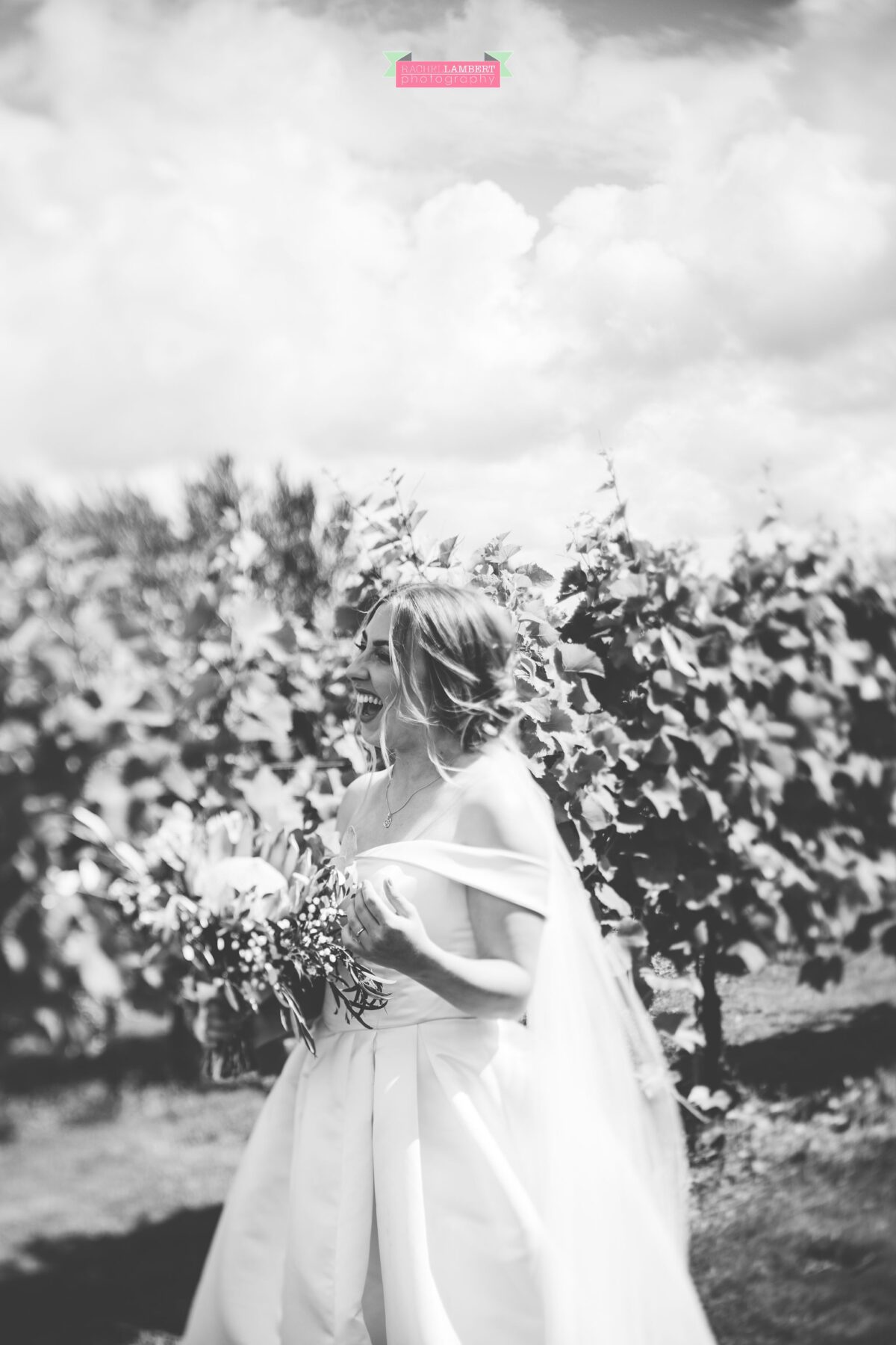 Llanerch Vineyard Cardiff Wedding Photographer