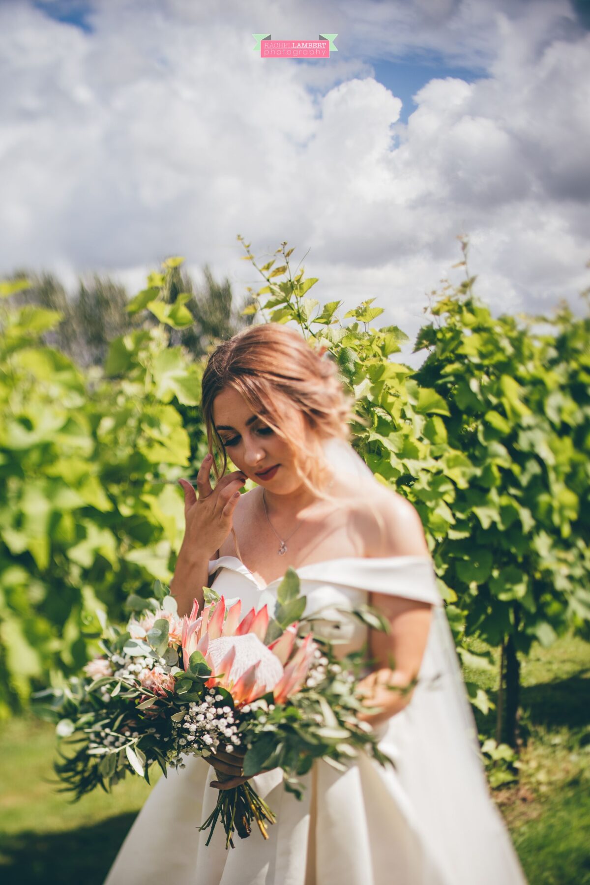 Llanerch Vineyard Cardiff Wedding Photographer