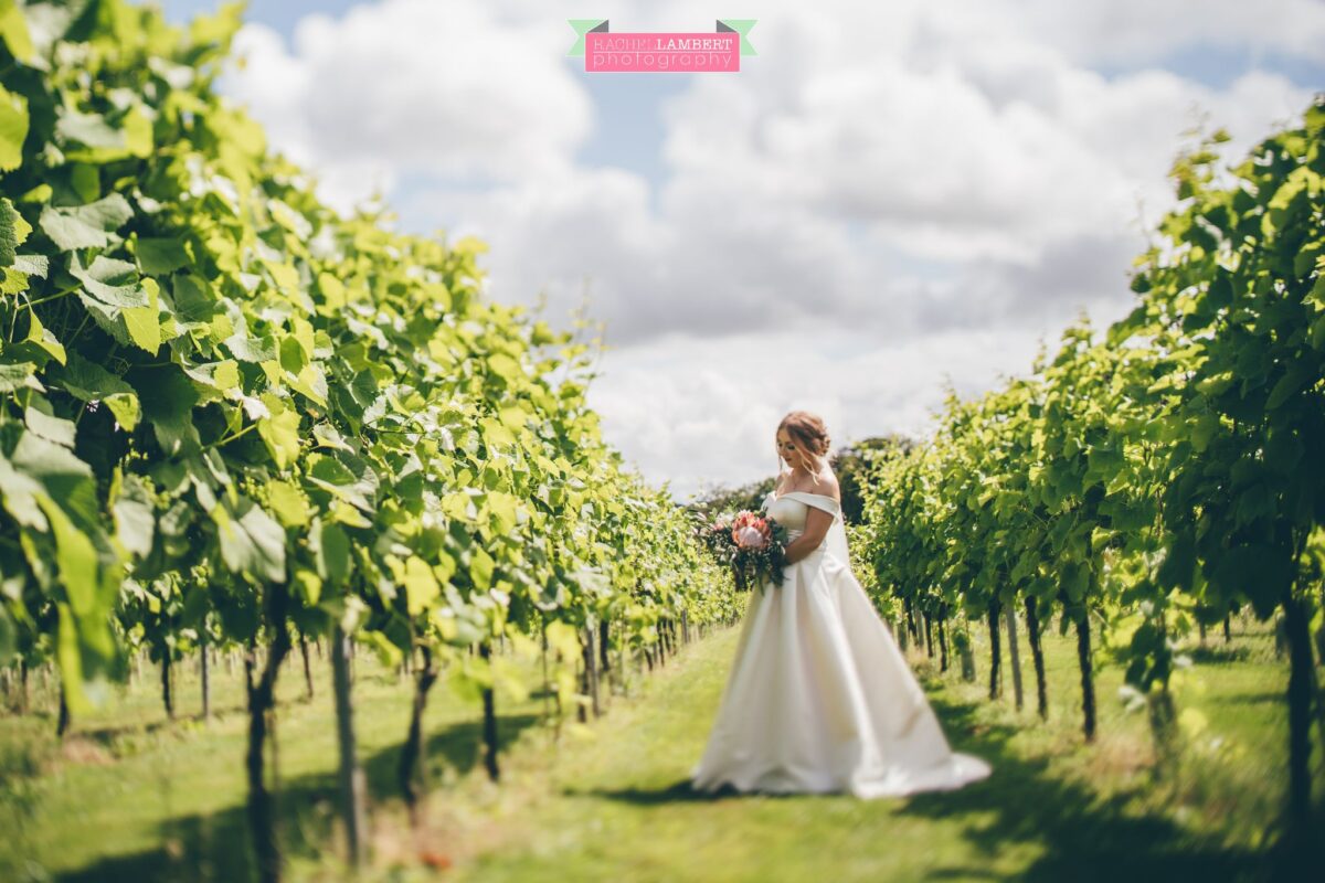 Llanerch Vineyard Cardiff Wedding Photographer