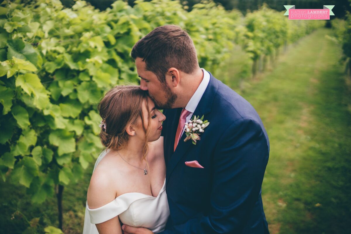 Llanerch Vineyard Cardiff Wedding Photographer