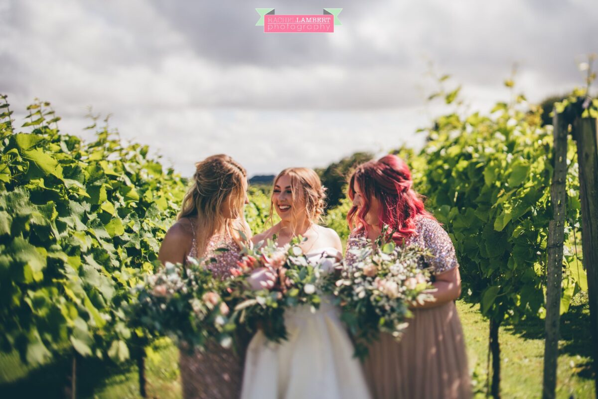 Llanerch Vineyard Cardiff Wedding Photographer