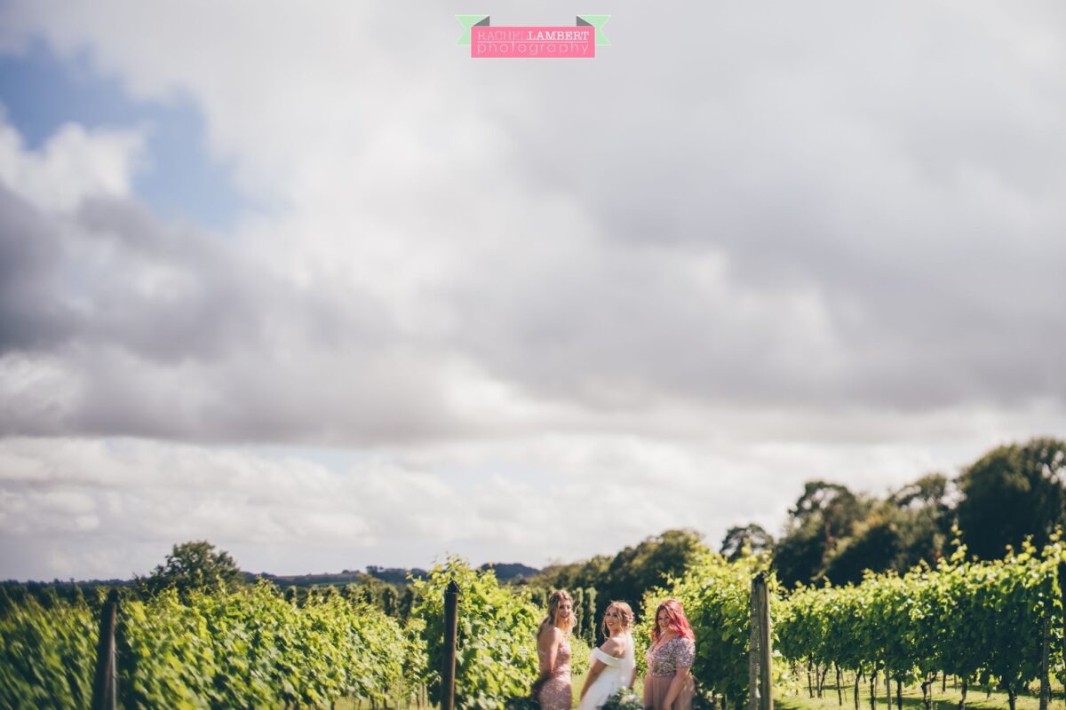 Llanerch Vineyard Cardiff Wedding Photographer