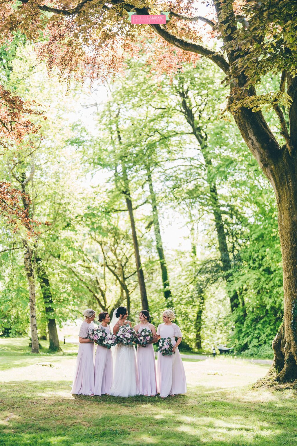 Fairyhill Wedding Photos
