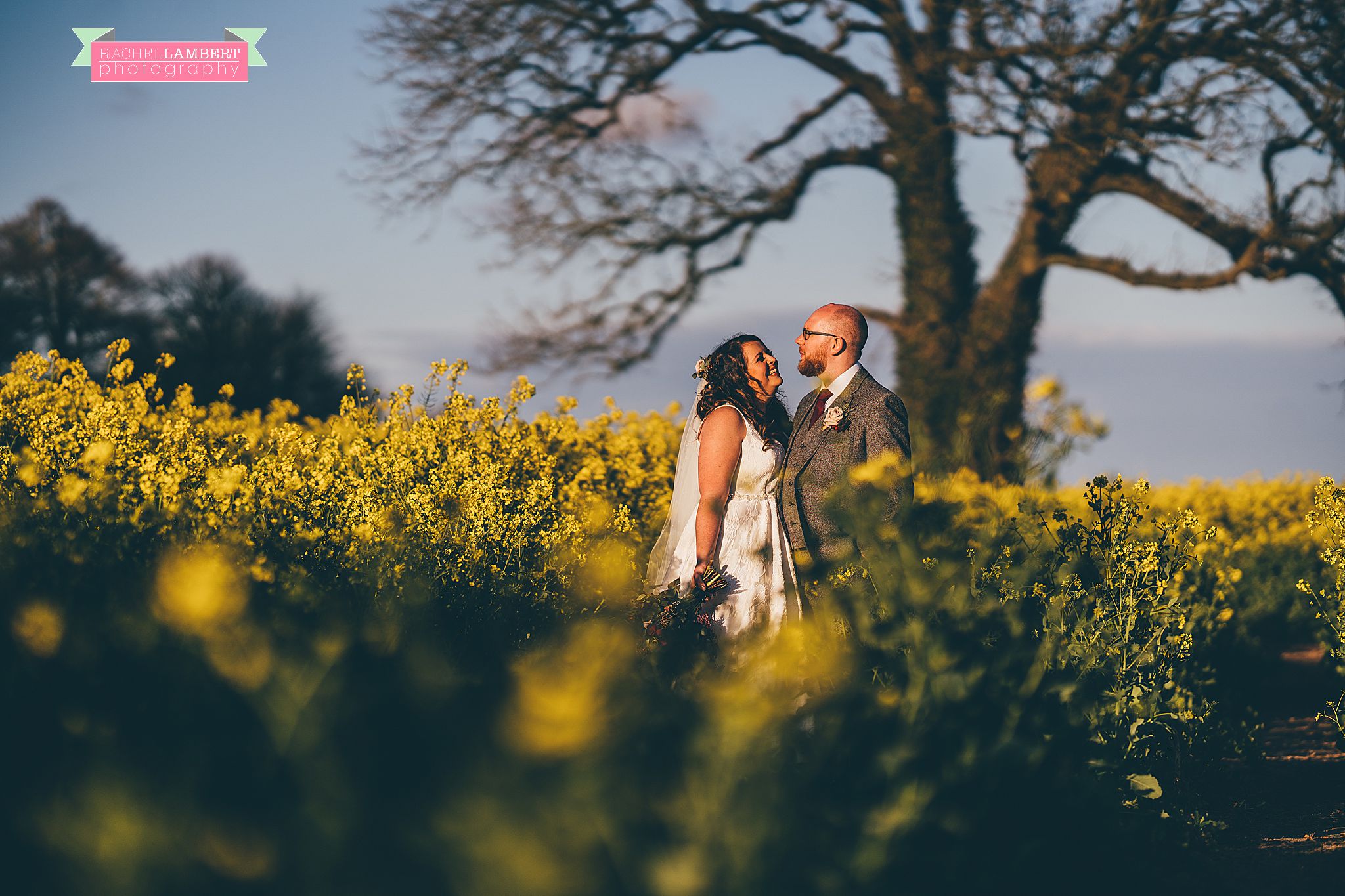 rosedew farm wedding bride and groom rapeseed field