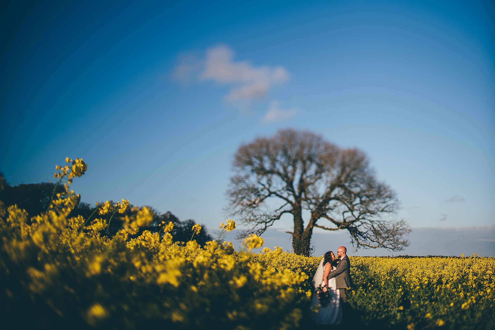 Rachel and Sam Wedding Rosedew Farm