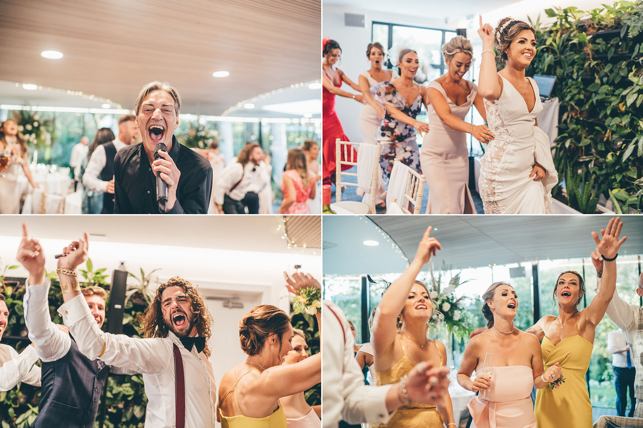 singing waiters at weddings fairyhill