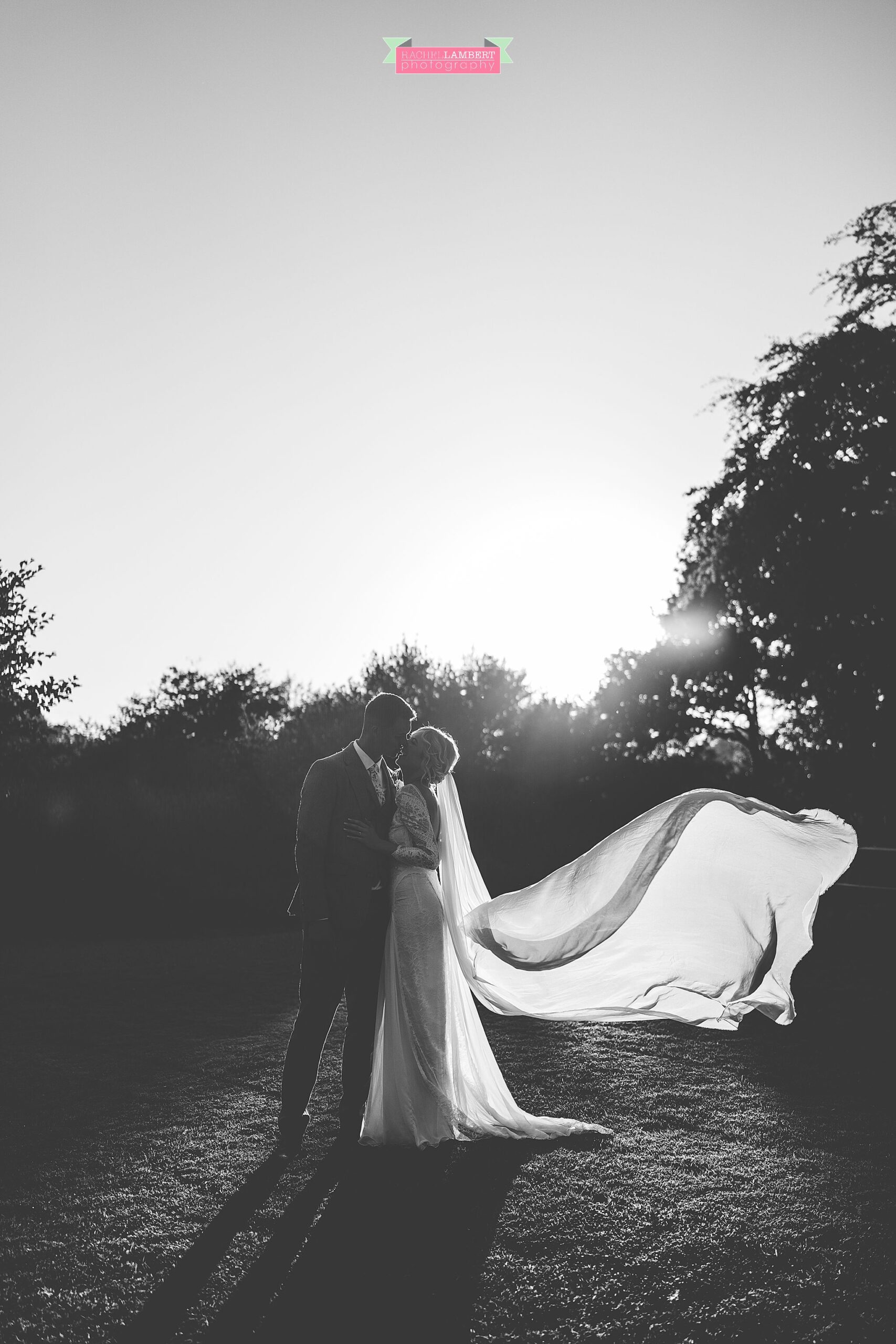 Llanerch Vineyard Wedding Photographer bride and groom golden hour