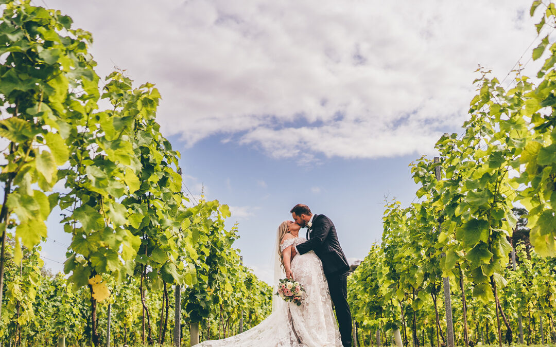 Zoe and Ross Wedding Llanerch Vineyard