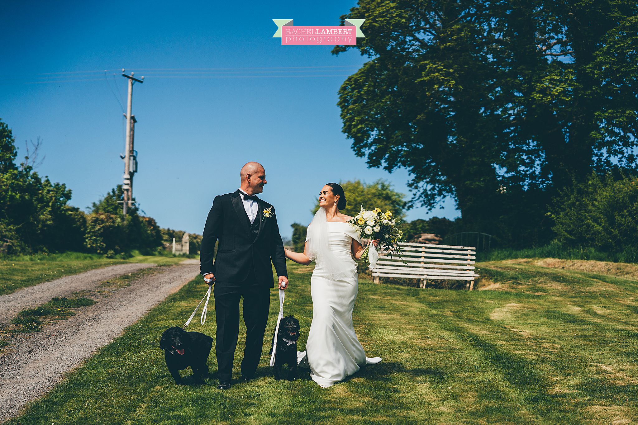 Pembrokeshire Wedding Photographer dogs at weddings