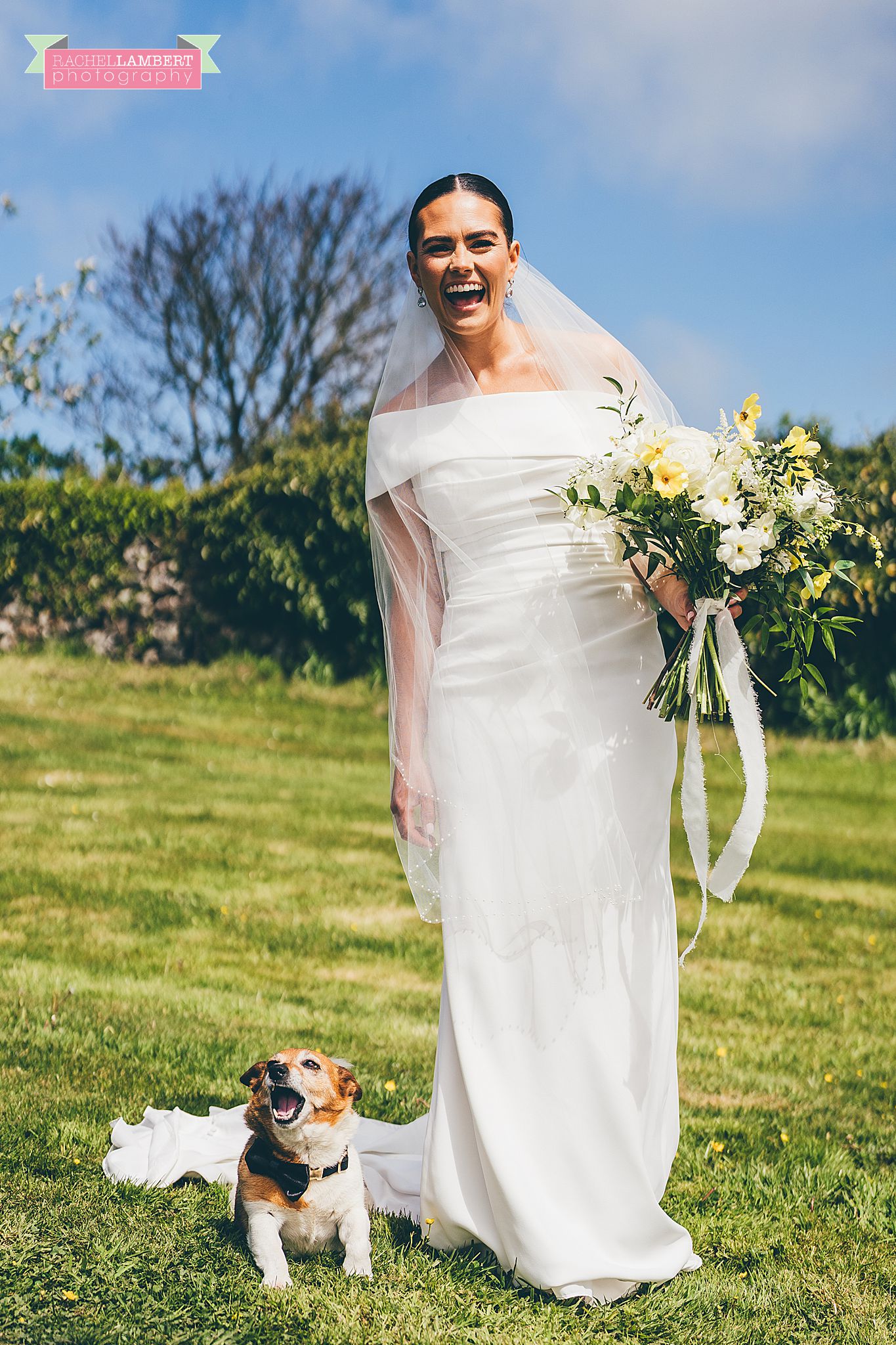 Pembrokeshire Wedding Photographer dogs at weddings