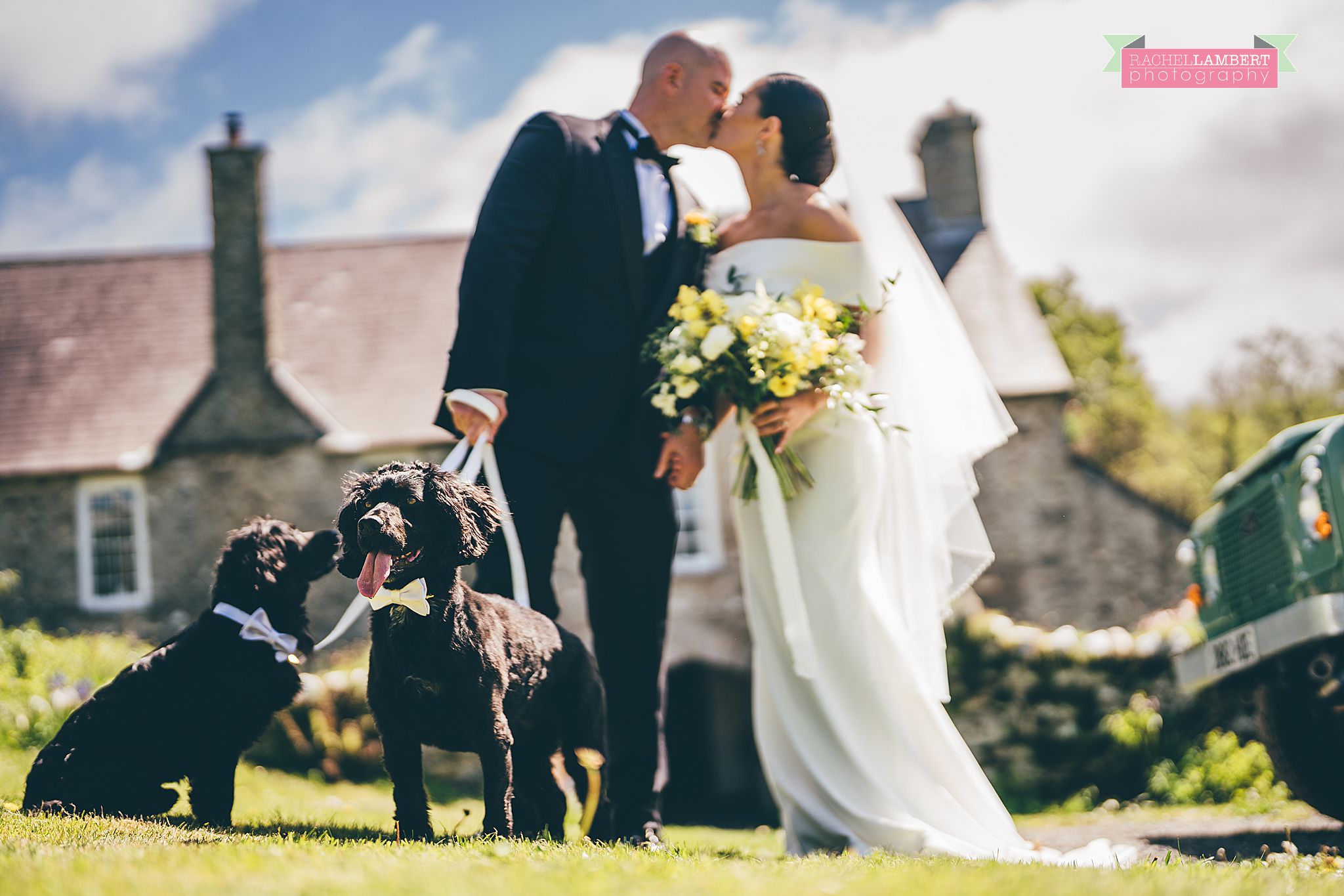 Pembrokeshire Wedding Photographer dogs at weddings