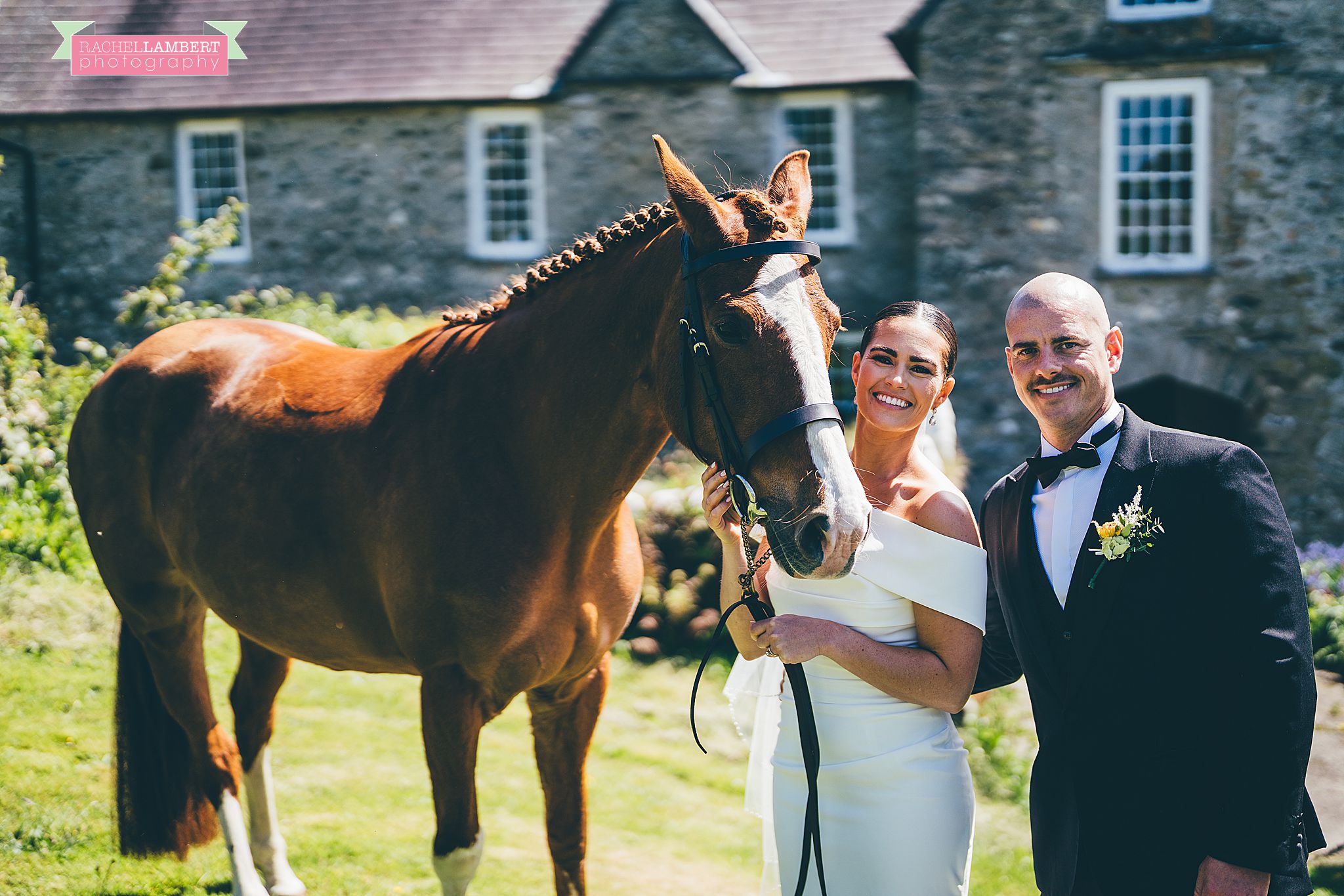 Pembrokeshire Wedding Photographer horses at wedding