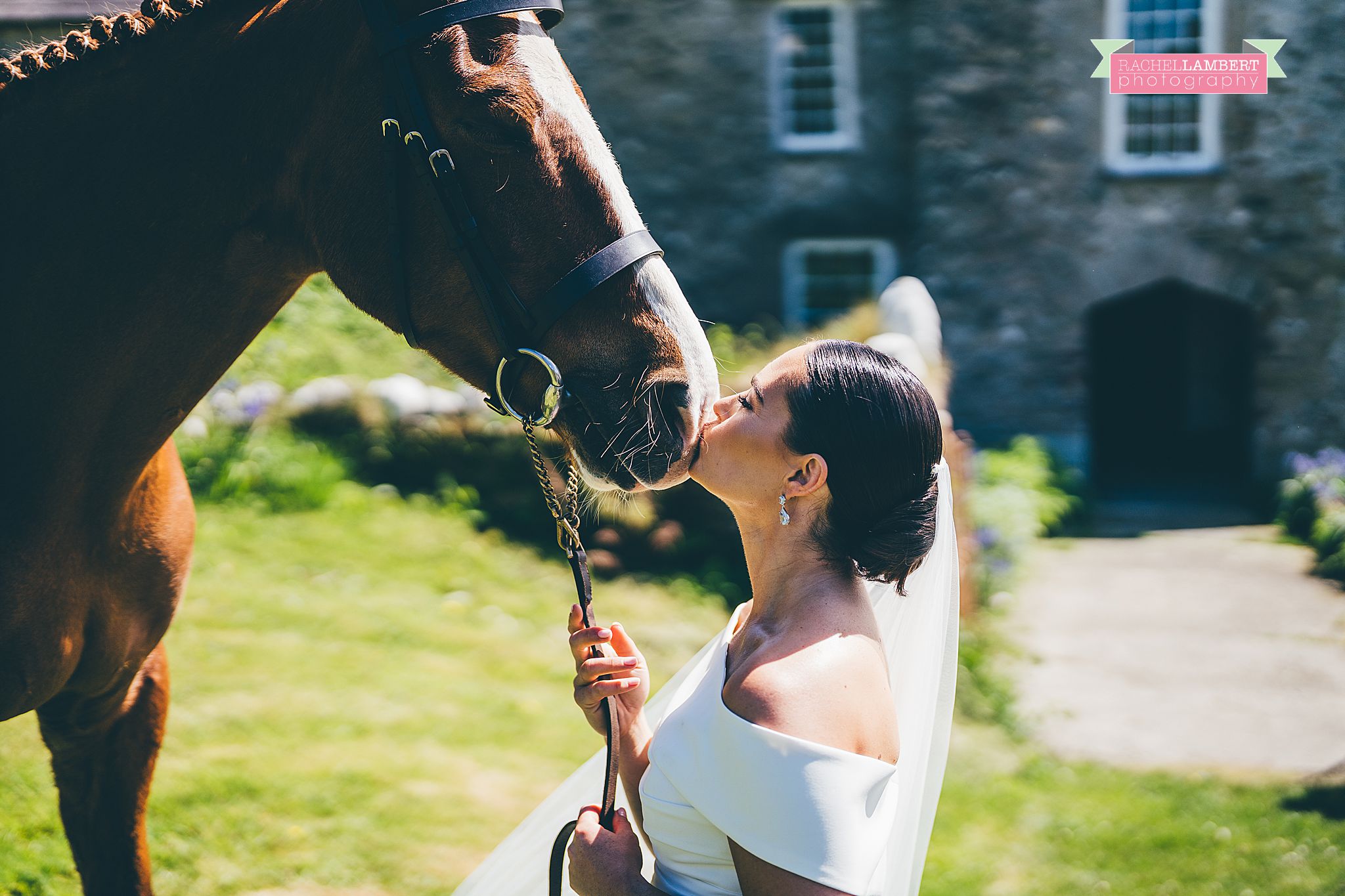 Pembrokeshire Wedding Photographer horses at wedding