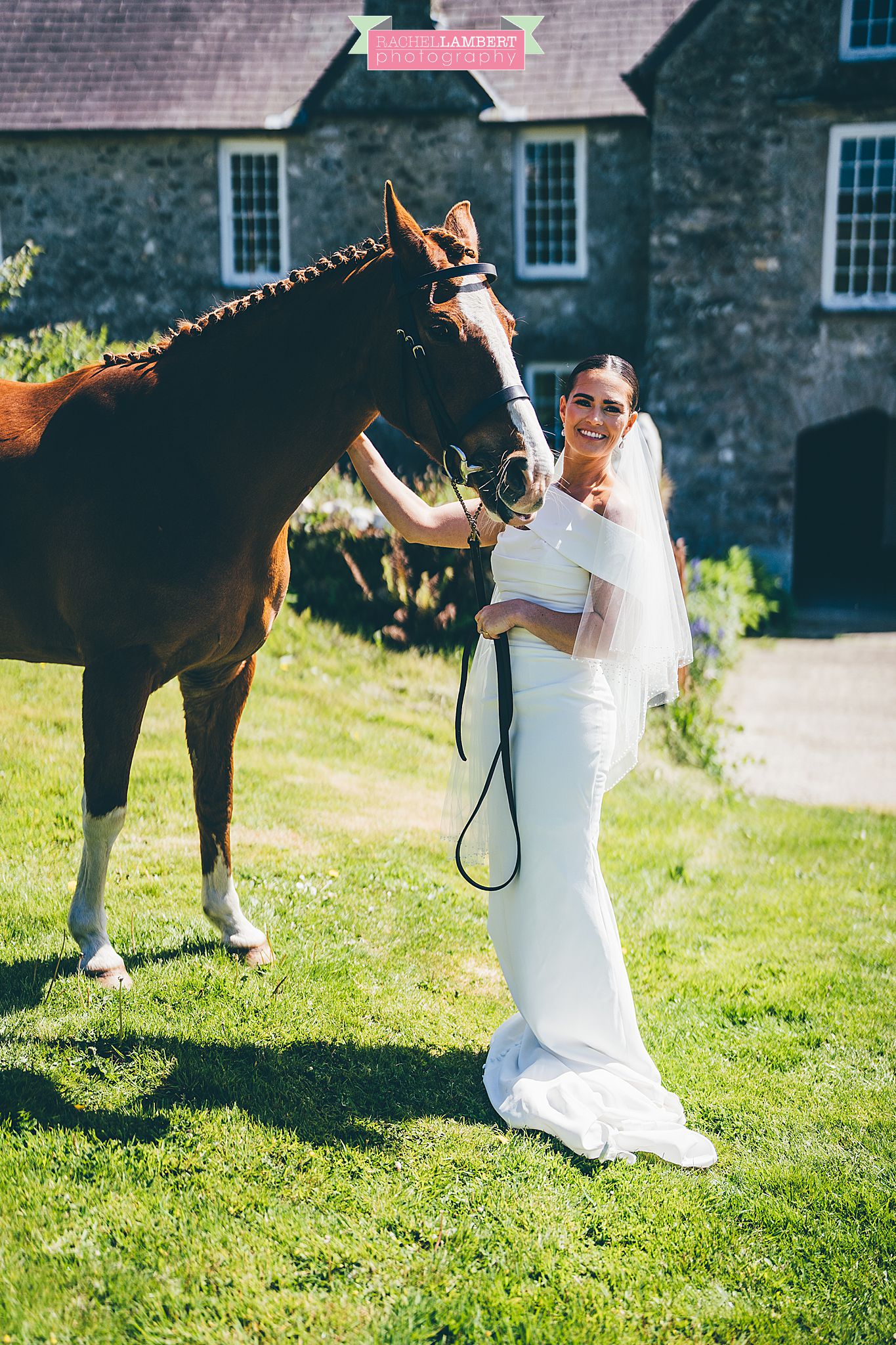 Pembrokeshire Wedding Photographer horses at wedding