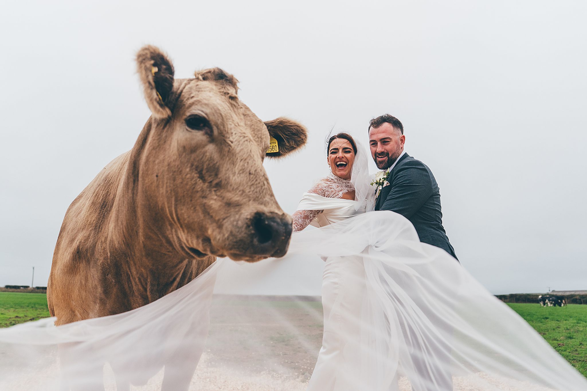 farm wedding
