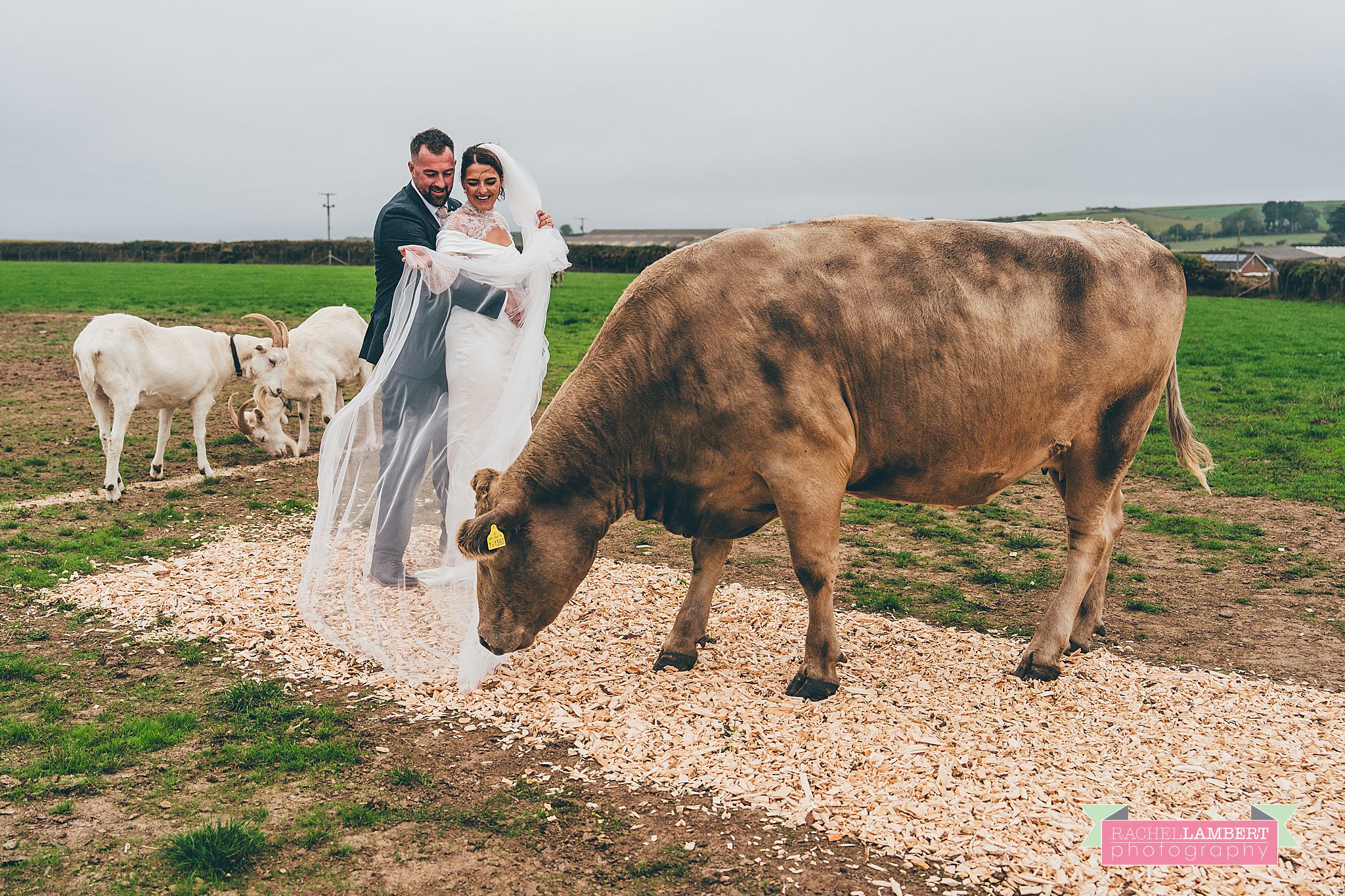 farm wedding