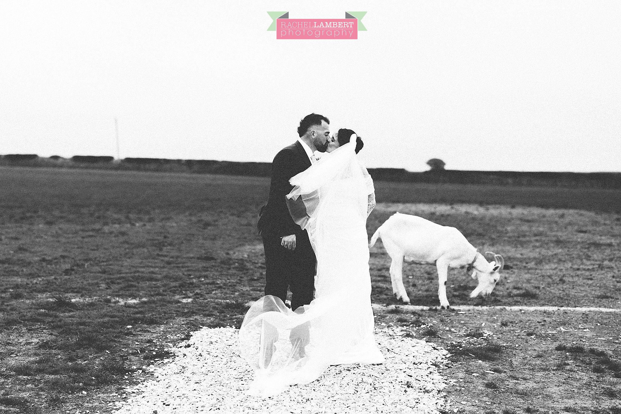 farm wedding