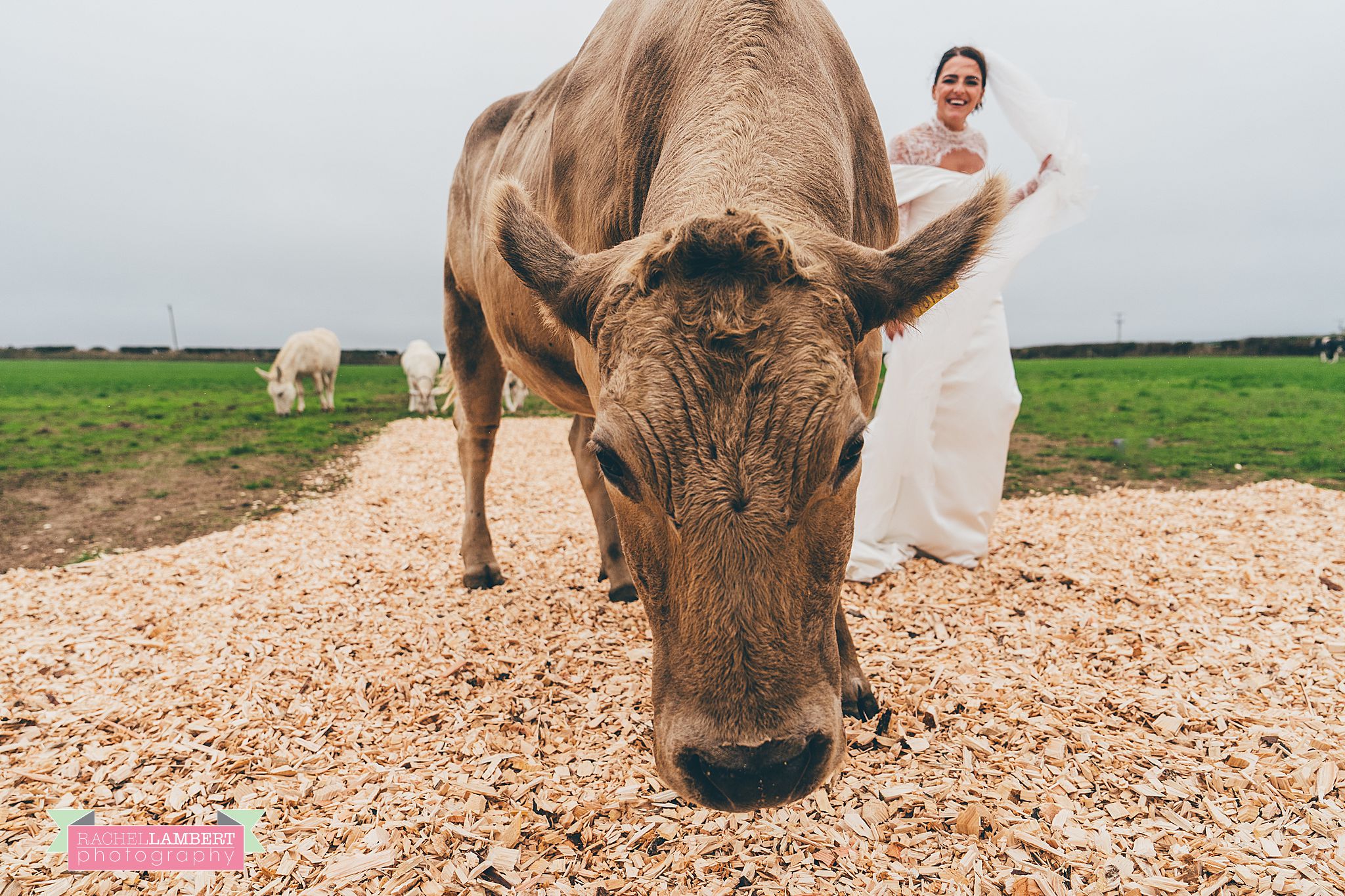 farm wedding