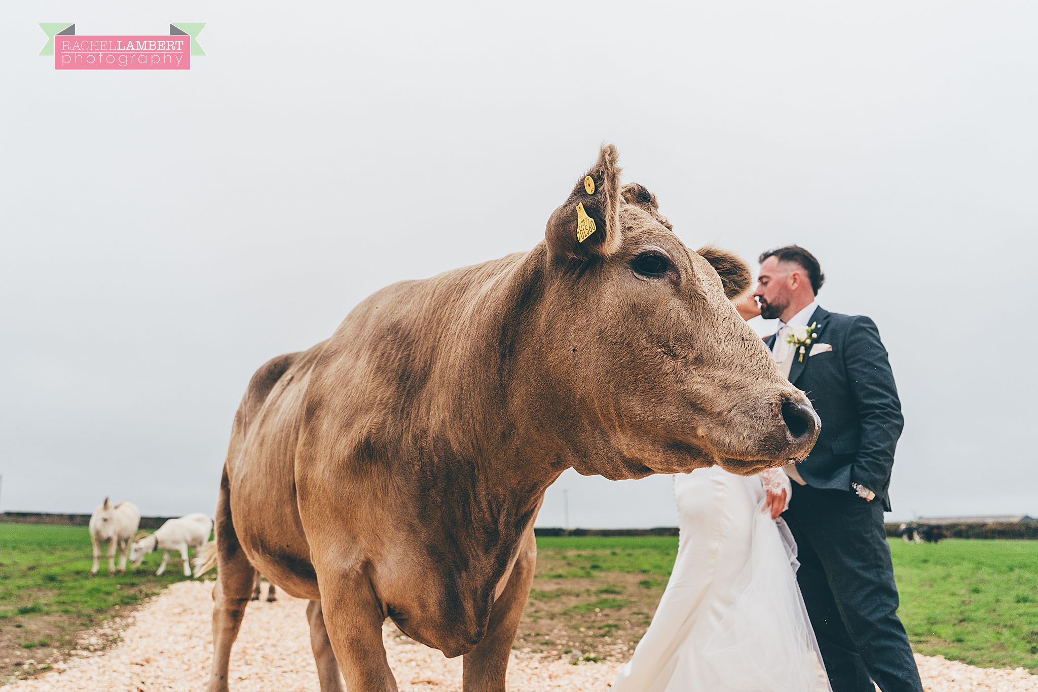 farm wedding