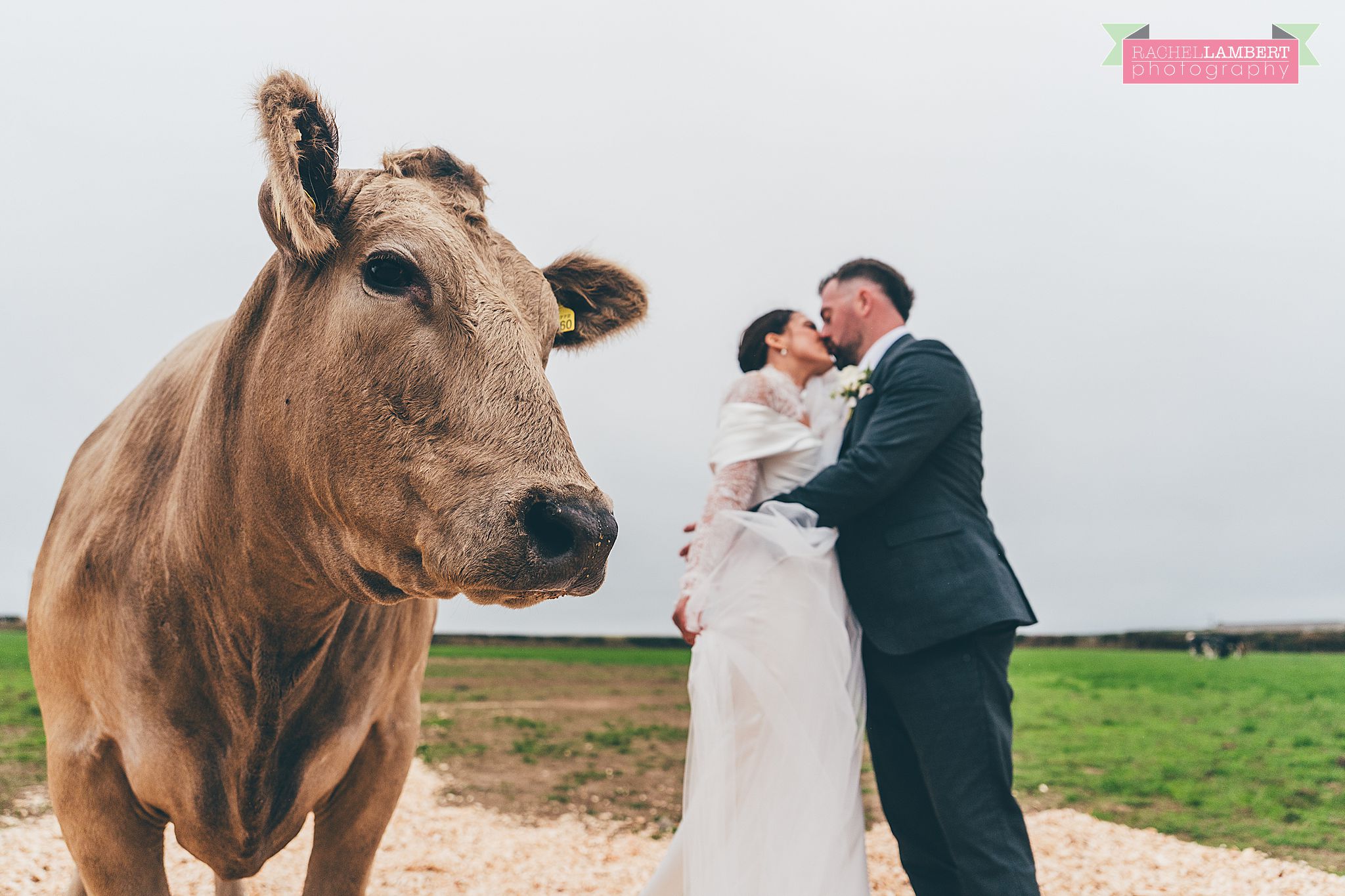 farm wedding